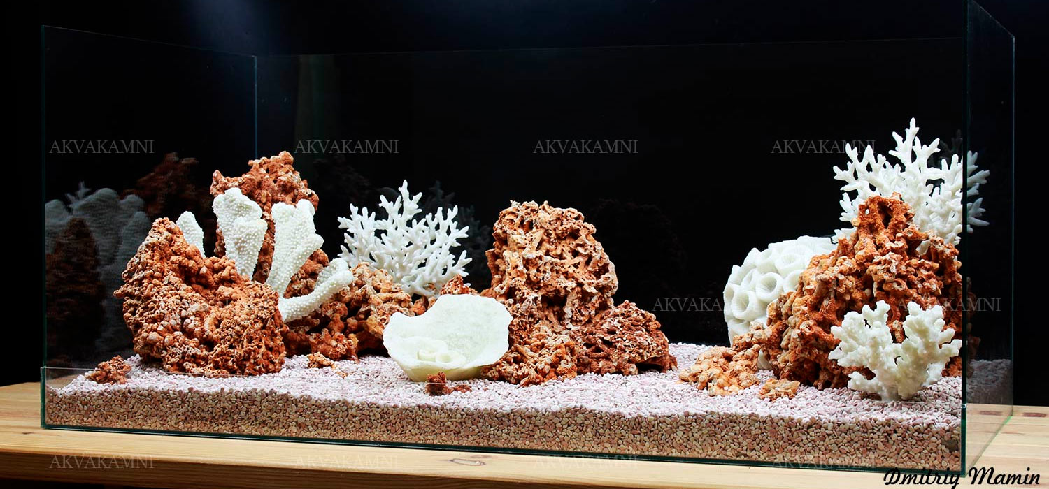 Spaghetti аквариум